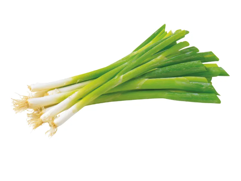 Cebolla larga o junca