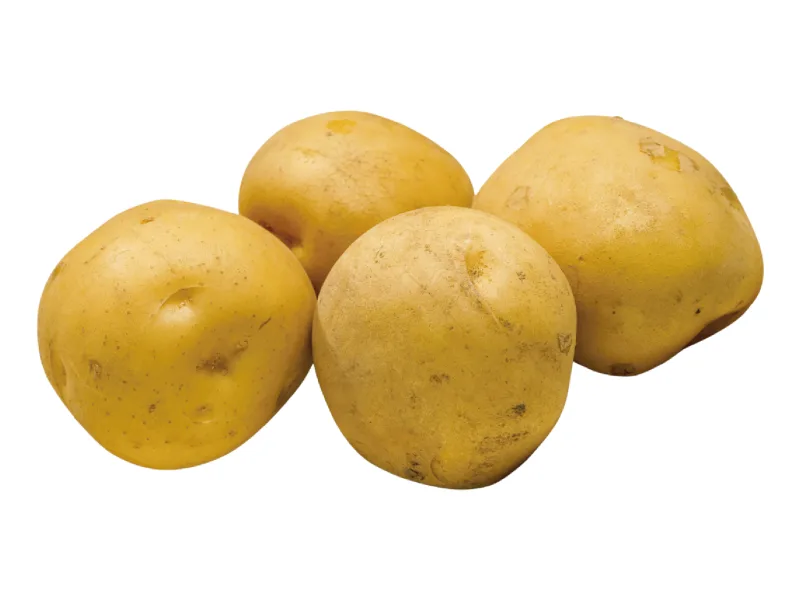 Papa criolla o amarilla